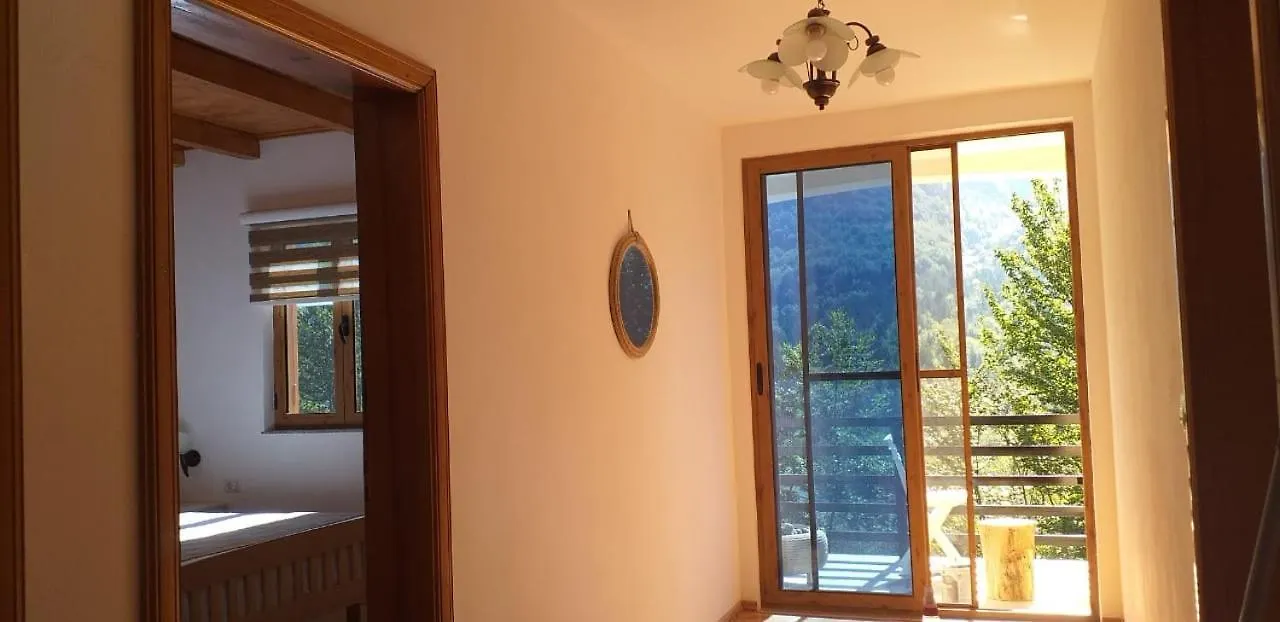 Thethi Cold Spring 2 Apartamento Habitación en casa particular Theth
